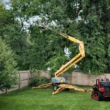 Best Pest Control for Lawns  in Chama, NM