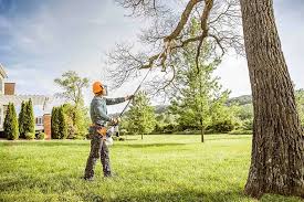 Best Aeration Services  in Chama, NM